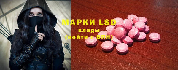 PSILOCYBIN Аркадак