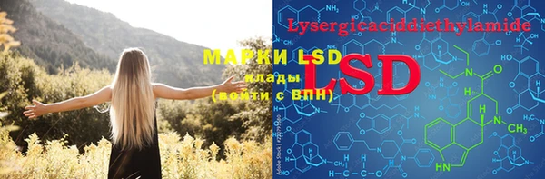 PSILOCYBIN Аркадак