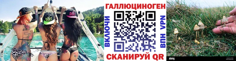 omg ТОР  Пудож  Псилоцибиновые грибы ЛСД 